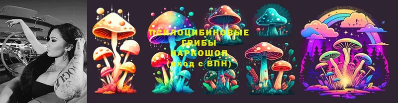 Псилоцибиновые грибы MAGIC MUSHROOMS  Энем 